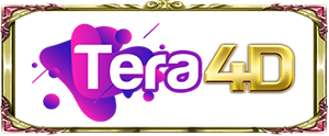 TERA4D Logo